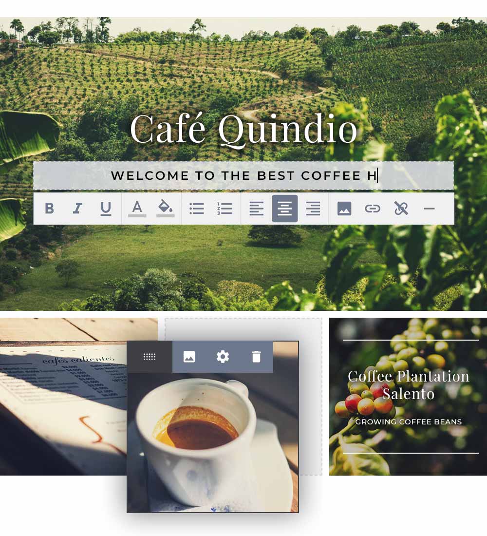 Build your own website in 3 steps with the Designer from Hoststar. Editing of an image and text in the Designer website builder
